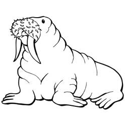 Desenho Morsa (Animais) #208689 para imprimir e colorir