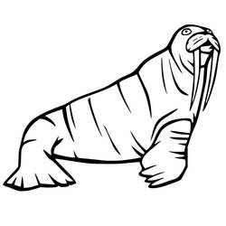 Desenho Morsa (Animais) #208695 para imprimir e colorir