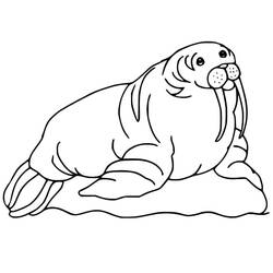Desenho Morsa (Animais) #208704 para imprimir e colorir
