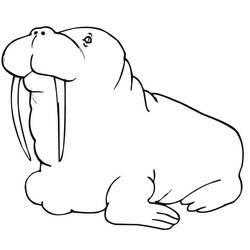 Desenho Morsa (Animais) #208706 para imprimir e colorir