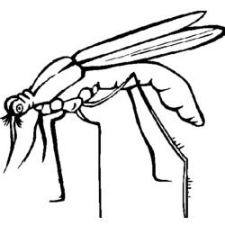 Página para colorir: Mosquito (animais) #11324 - Páginas para Colorir Imprimíveis Gratuitamente