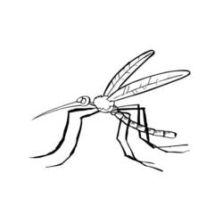Página para colorir: Mosquito (animais) #11326 - Páginas para Colorir Imprimíveis Gratuitamente