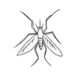 Desenho Mosquito (Animais) #207186 para imprimir e colorir