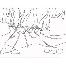 Desenho Mosquito (Animais) #207190 para imprimir e colorir