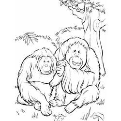 Desenho Orangotango (Animais) #191564 para imprimir e colorir