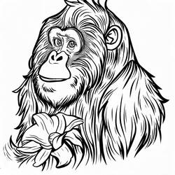 Desenho Orangotango (Animais) #191577 para imprimir e colorir