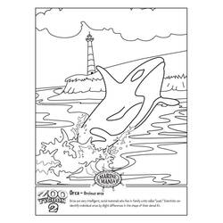 Desenho Orca (Animais) #213444 para imprimir e colorir