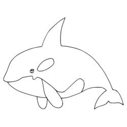 Desenho Orca (Animais) #213446 para imprimir e colorir