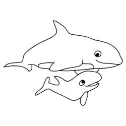 Desenho Orca (Animais) #213447 para imprimir e colorir