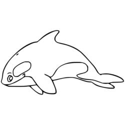 Desenho Orca (Animais) #213448 para imprimir e colorir