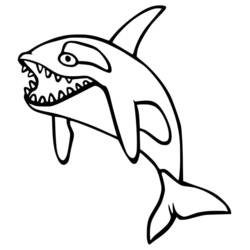 Desenho Orca (Animais) #213450 para imprimir e colorir