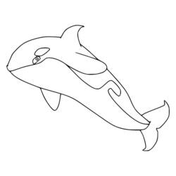 Desenho Orca (Animais) #213463 para imprimir e colorir