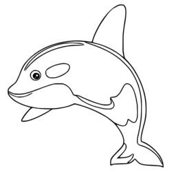 Desenhos para colorir: Orca - Páginas para Colorir Imprimíveis Gratuitamente