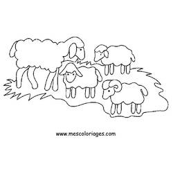 Página para colorir: Ovelha (animais) #11414 - Páginas para Colorir Imprimíveis Gratuitamente