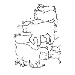 Página para colorir: Ovelha (animais) #11431 - Páginas para Colorir Imprimíveis Gratuitamente
