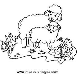 Página para colorir: Ovelha (animais) #11436 - Páginas para Colorir Imprimíveis Gratuitamente