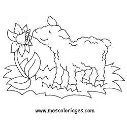 Página para colorir: Ovelha (animais) #11458 - Páginas para Colorir Imprimíveis Gratuitamente