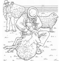 Página para colorir: Ovelha (animais) #11461 - Páginas para Colorir Imprimíveis Gratuitamente