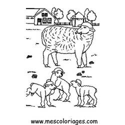 Página para colorir: Ovelha (animais) #11474 - Páginas para Colorir Imprimíveis Gratuitamente