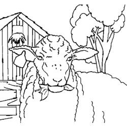 Página para colorir: Ovelha (animais) #11479 - Páginas para Colorir Imprimíveis Gratuitamente