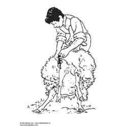 Página para colorir: Ovelha (animais) #11511 - Páginas para Colorir Imprimíveis Gratuitamente
