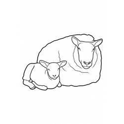 Página para colorir: Ovelha (animais) #11521 - Páginas para Colorir Imprimíveis Gratuitamente
