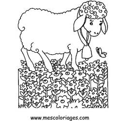 Página para colorir: Ovelha (animais) #11533 - Páginas para Colorir Imprimíveis Gratuitamente
