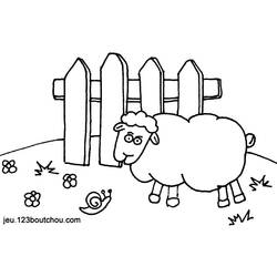Página para colorir: Ovelha (animais) #11539 - Páginas para Colorir Imprimíveis Gratuitamente