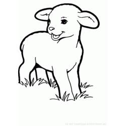Página para colorir: Ovelha (animais) #11548 - Páginas para Colorir Imprimíveis Gratuitamente