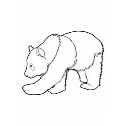 Página para colorir: Panda (animais) #12452 - Páginas para Colorir Imprimíveis Gratuitamente