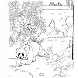Página para colorir: Panda (animais) #12486 - Páginas para Colorir Imprimíveis Gratuitamente