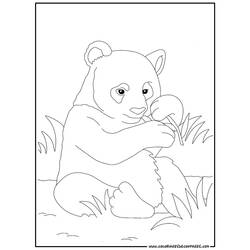 Página para colorir: Panda (animais) #12488 - Páginas para Colorir Imprimíveis Gratuitamente