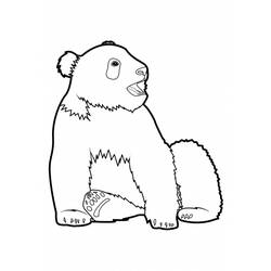 Página para colorir: Panda (animais) #12514 - Páginas para Colorir Imprimíveis Gratuitamente