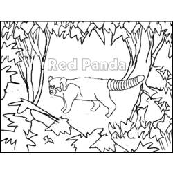 Página para colorir: Panda (animais) #12596 - Páginas para Colorir Imprimíveis Gratuitamente