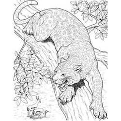 Página para colorir: Pantera (animais) #15518 - Páginas para Colorir Imprimíveis Gratuitamente