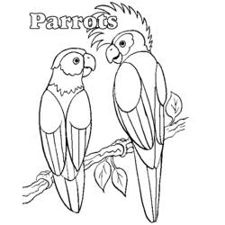 Página para colorir: Papagaio (animais) #16068 - Páginas para Colorir Imprimíveis Gratuitamente
