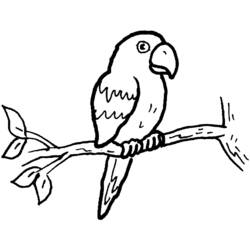 Página para colorir: Papagaio (animais) #16074 - Páginas para Colorir Imprimíveis Gratuitamente