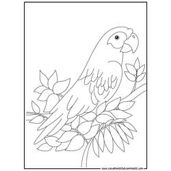 Página para colorir: Papagaio (animais) #16078 - Páginas para Colorir Imprimíveis Gratuitamente