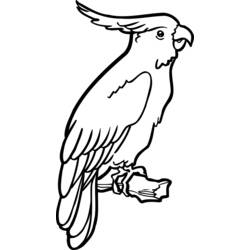 Página para colorir: Papagaio (animais) #16081 - Páginas para Colorir Imprimíveis Gratuitamente