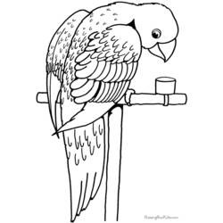 Página para colorir: Papagaio (animais) #16090 - Páginas para Colorir Imprimíveis Gratuitamente