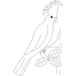 Página para colorir: Papagaio (animais) #16092 - Páginas para Colorir Imprimíveis Gratuitamente