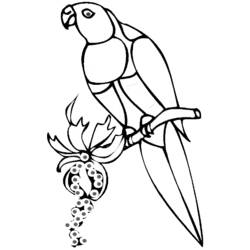 Página para colorir: Papagaio (animais) #16117 - Páginas para Colorir Imprimíveis Gratuitamente