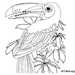 Página para colorir: Papagaio (animais) #16121 - Páginas para Colorir Imprimíveis Gratuitamente