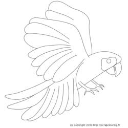 Página para colorir: Papagaio (animais) #16160 - Páginas para Colorir Imprimíveis Gratuitamente
