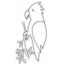 Página para colorir: Papagaio (animais) #16168 - Páginas para Colorir Imprimíveis Gratuitamente