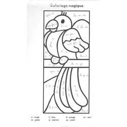 Página para colorir: Papagaio (animais) #16179 - Páginas para Colorir Imprimíveis Gratuitamente