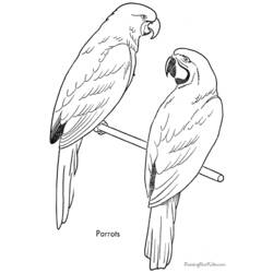 Página para colorir: Papagaio (animais) #16194 - Páginas para Colorir Imprimíveis Gratuitamente