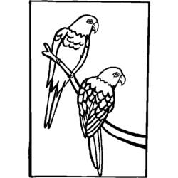Página para colorir: Papagaio (animais) #16212 - Páginas para Colorir Imprimíveis Gratuitamente