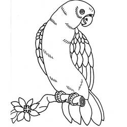 Página para colorir: Papagaio (animais) #16225 - Páginas para Colorir Imprimíveis Gratuitamente