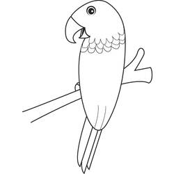 Página para colorir: Papagaio (animais) #16239 - Páginas para Colorir Imprimíveis Gratuitamente